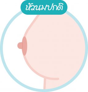 ลักษณะหัวนม